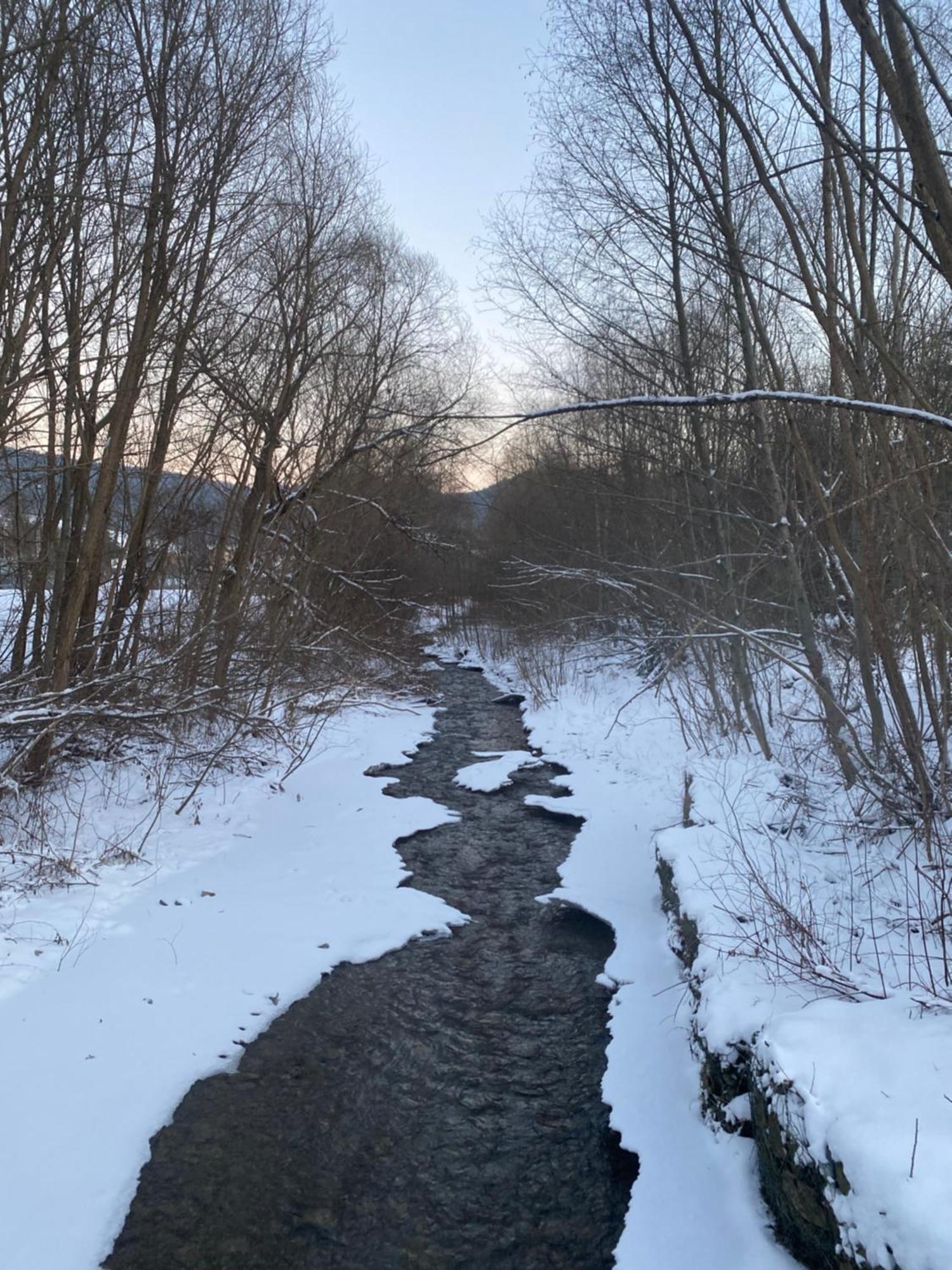 Dom Goscinny Jawor Czarnypotok Krynica-Zdrój Exteriér fotografie